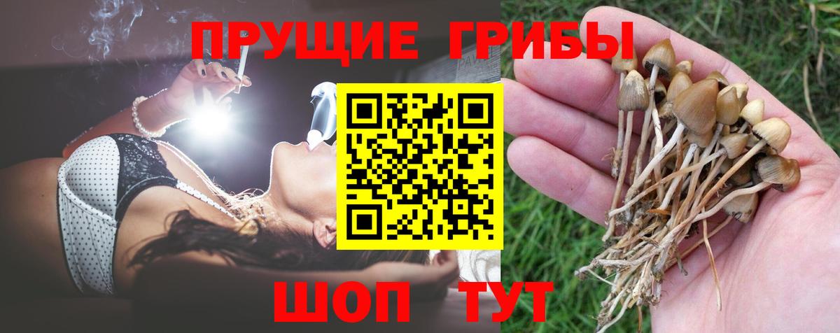 Галлюциногенные грибы MAGIC MUSHROOMS  Вход с VPN  Отрадный 